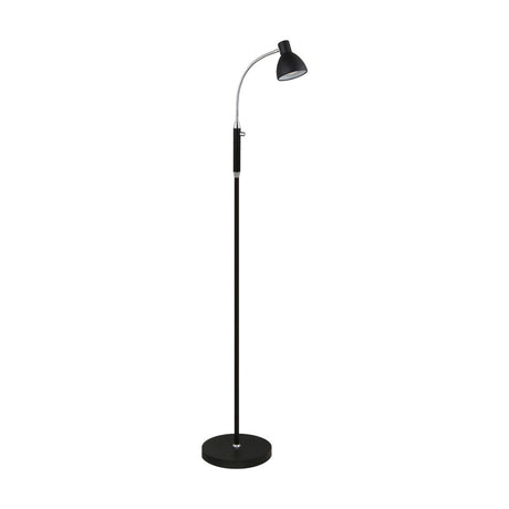 Hudson Floor Lamp in black with a slim column on a round disc base, chrome gooseneck curving up to an adjustable black cone head, set against a plain white background.