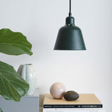 Carpenter Pendant Light 15cm in dark green with cone-shaped metal shade and vent holes, hanging above a shelf with books, a vase and a plant in a living room setting.