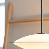 Close-up of the Orbit Glass 3 Light Pendant Light 40cm in Opal & Black, showing the opal glass dome set in a thin black disc with black cord, against a softly blurred wooden ladder in the background.