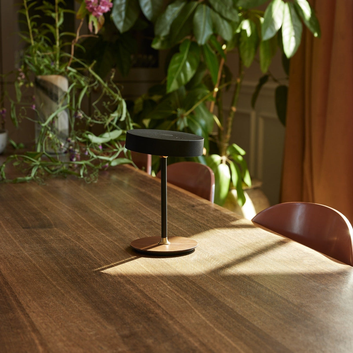 On the Move LED rechargeable table lamp in black with round drum shade, slim stem, brass collar, and walnut base, shown on a wooden dining table.