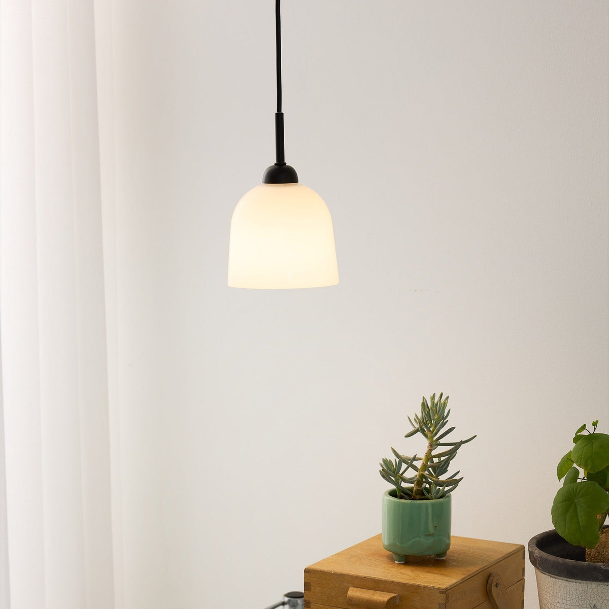 Glow Pendant Light 12cm in black and white with an opal glass bell shade, black collar and flex, shown lit above a wooden stand with potted plants against a light wall.