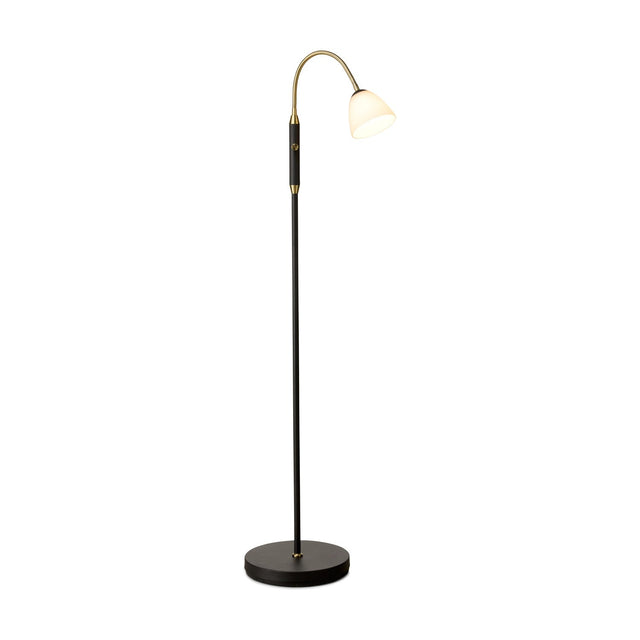 Lucid LED floor lamp with slim black stem on a round black base, curved antique brass gooseneck arm holding a small opal glass bell shade, shown on a plain white background.