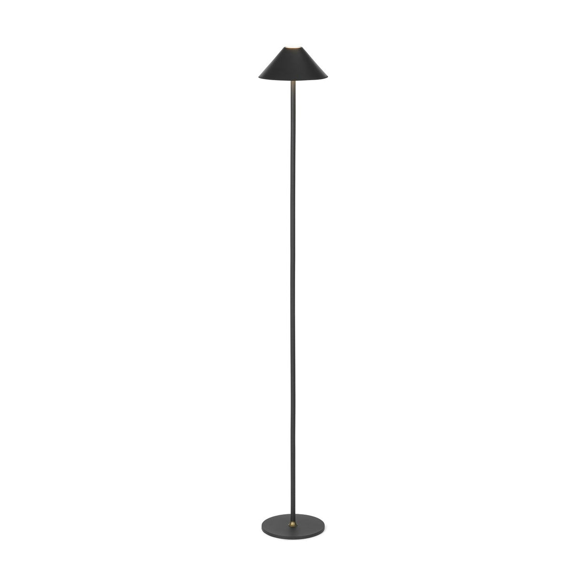 Hygge LED Rechargeable Outdoor Floor Lamp in graphite, with a cone-shaped shade atop a slim stem and round disc base, brass collar accent, on a white background.