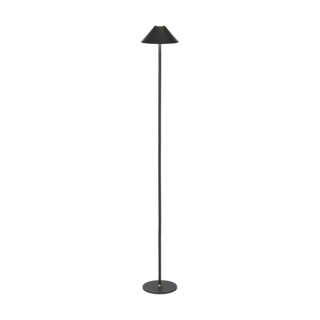 Hygge LED Rechargeable Outdoor Floor Lamp in graphite, with a cone-shaped shade atop a slim stem and round disc base, brass collar accent, on a white background.