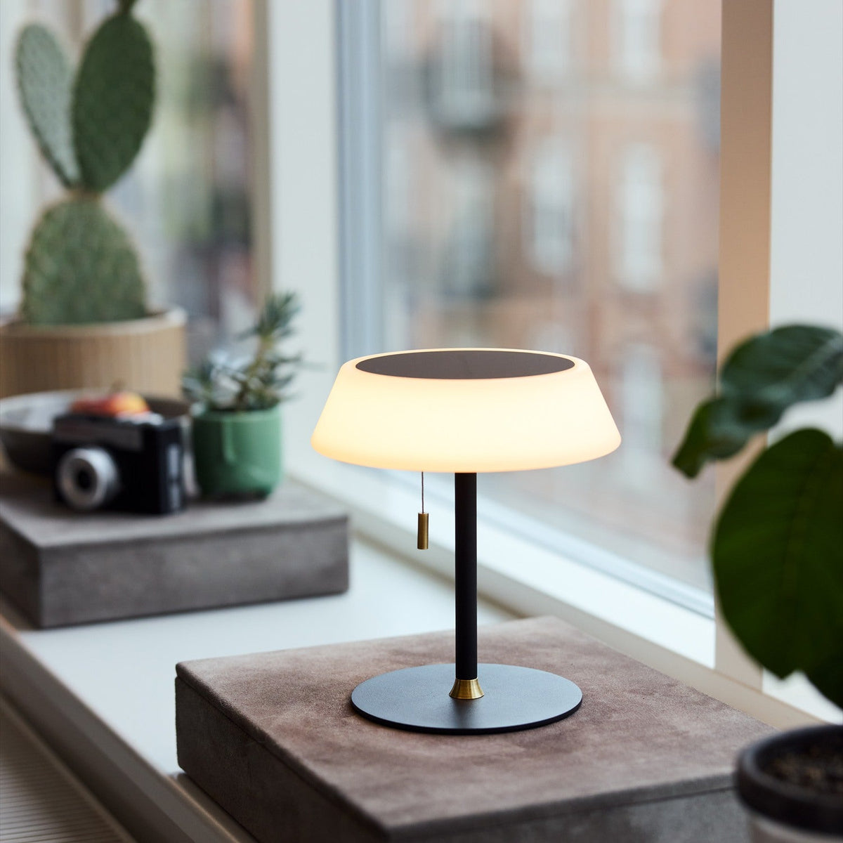 Solar LED Portable Outdoor Table Lamp in black, with a wide opal glass shade on a slim stem and brass pull toggle, shown lit on a windowsill beside plants.