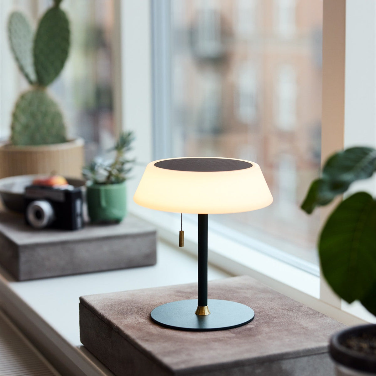 Solar LED Portable Outdoor Table Lamp in dark green, with an opal drum-shaped shade, black top panel, brass pull cord, and round stem, shown lit on a windowsill among plants.