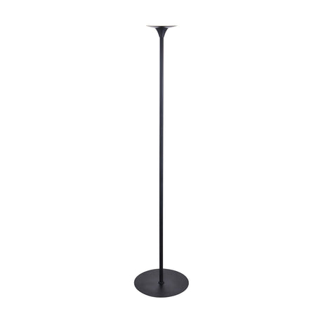 Baroni Glas floor lamp with a slim black stem, shallow inverted cone shade, and round flat black base on a plain white background.