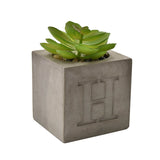 Grey cement cube pot with embossed letter "H", holding a green faux succulent rosette over small pebbles, shown on a plain white background.