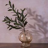 Round glass fish vase with footed base in clear glass with a pale amber tint, holding an olive branch, set against a pink wall with cast shadow.