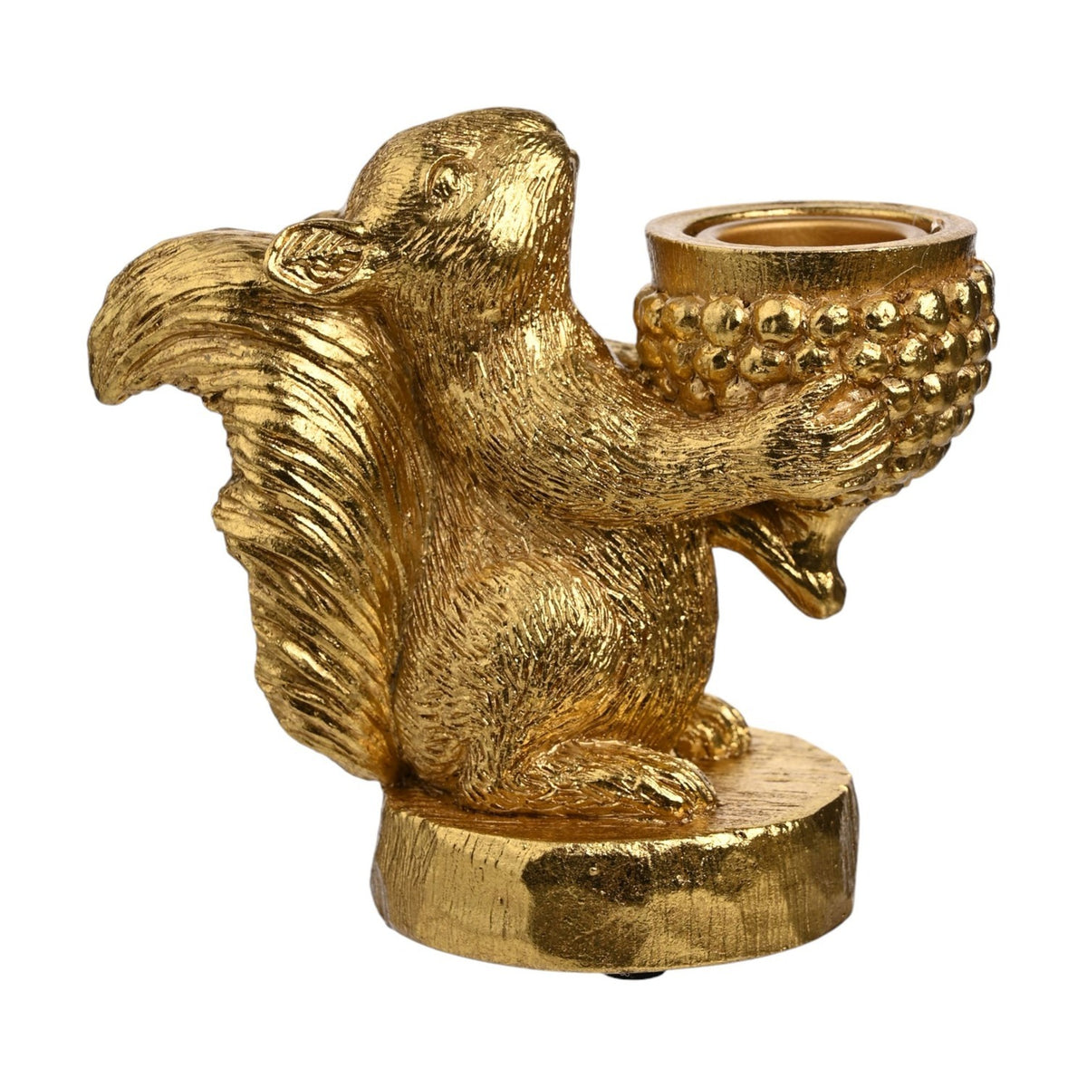 Gold resin squirrel taper candle holder, sitting upright with curled tail on a round base, holding a bobbled cone candle cup, shown on a plain white background.