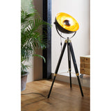 Henorne Floor Lamp - Black, Brass & Gold