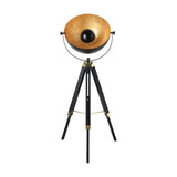 Henorne Floor Lamp - Black, Brass & Gold