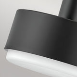 Cedric 2 Light Medium Pendant - Black