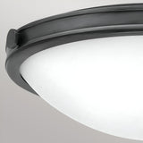 Collier 3 Light Medium Flush - Black Oxide