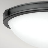 Collier 2 Light Small Flush - Black Oxide
