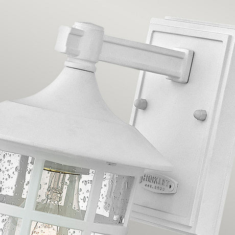 Close-up of the Freeport 1 Light Outdoor Small Wall Lantern in white, featuring a rectangular backplate. The lantern showcases clear glass panes with raindrop textures and a grid design, revealing the bulb inside. HINKLEY's name is engraved on the backplate, signifying its status as an IP44 rated, weather-resistant fixture.
