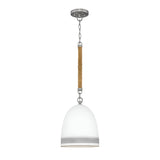 Nash 1 Light Pendant - Antique Nickel
