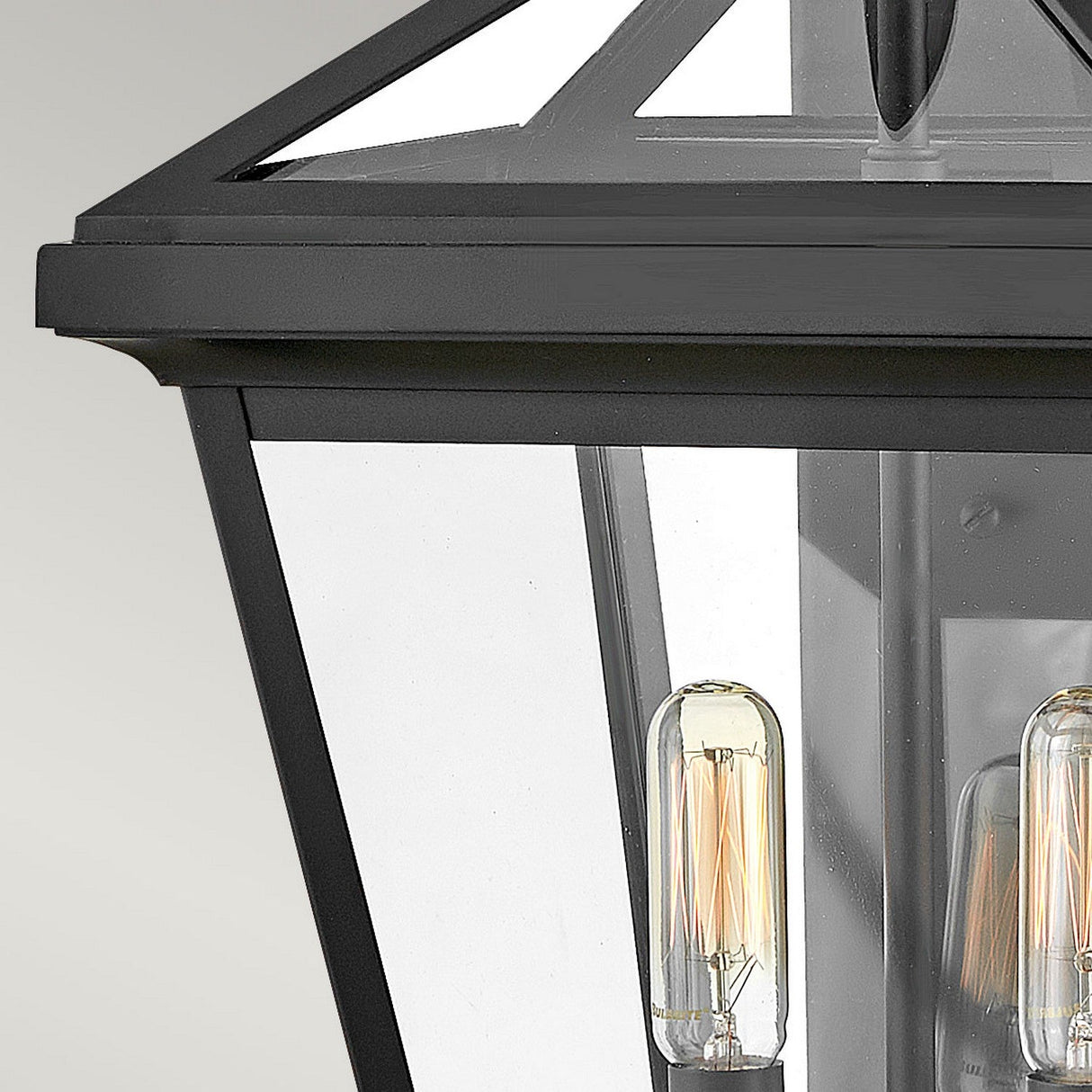 Close-up of the Palma Outdoor 2 Light Medium Wall Lantern in black, featuring clear glass panels that showcase two vintage-style filament bulbs inside. The background is a plain light gray.