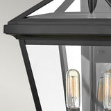 Close-up of the Palma Outdoor 2 Light Medium Wall Lantern in black, featuring clear glass panels that showcase two vintage-style filament bulbs inside. The background is a plain light gray.