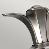 Close-up of the Plantation Outdoor 1 Light Wall Light, showcasing its stainless steel structure with a polished antique nickel finish and an elegant, curved petal-like design. The metal surface catches light, offering a sleek and contemporary look.