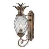 The Plantation Outdoor 1 Light Medium Wall Lantern features a decorative pineapple-shaped design and is wall-mounted. It has a burnished bronze finish, complemented by pineapple optic glass lamp housing and intricate detailing on the metal bracket and arm.