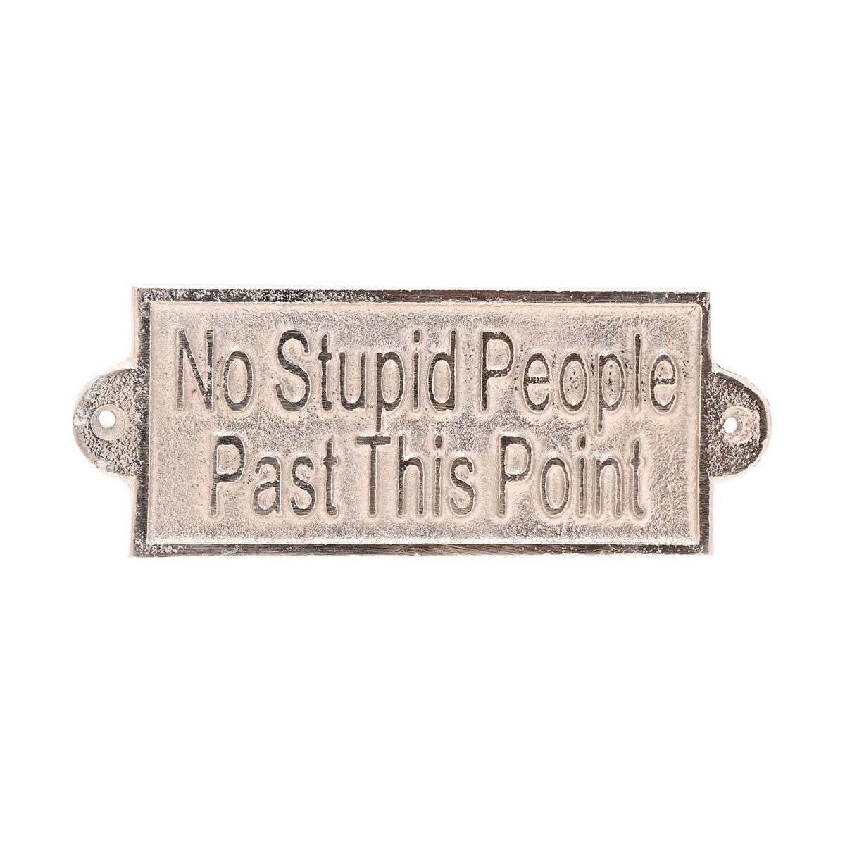Rectangular silver metal sign plaque with raised lettering reading "No Stupid People Past This Point," slim border and rounded fixing ears, shown on a plain white background.