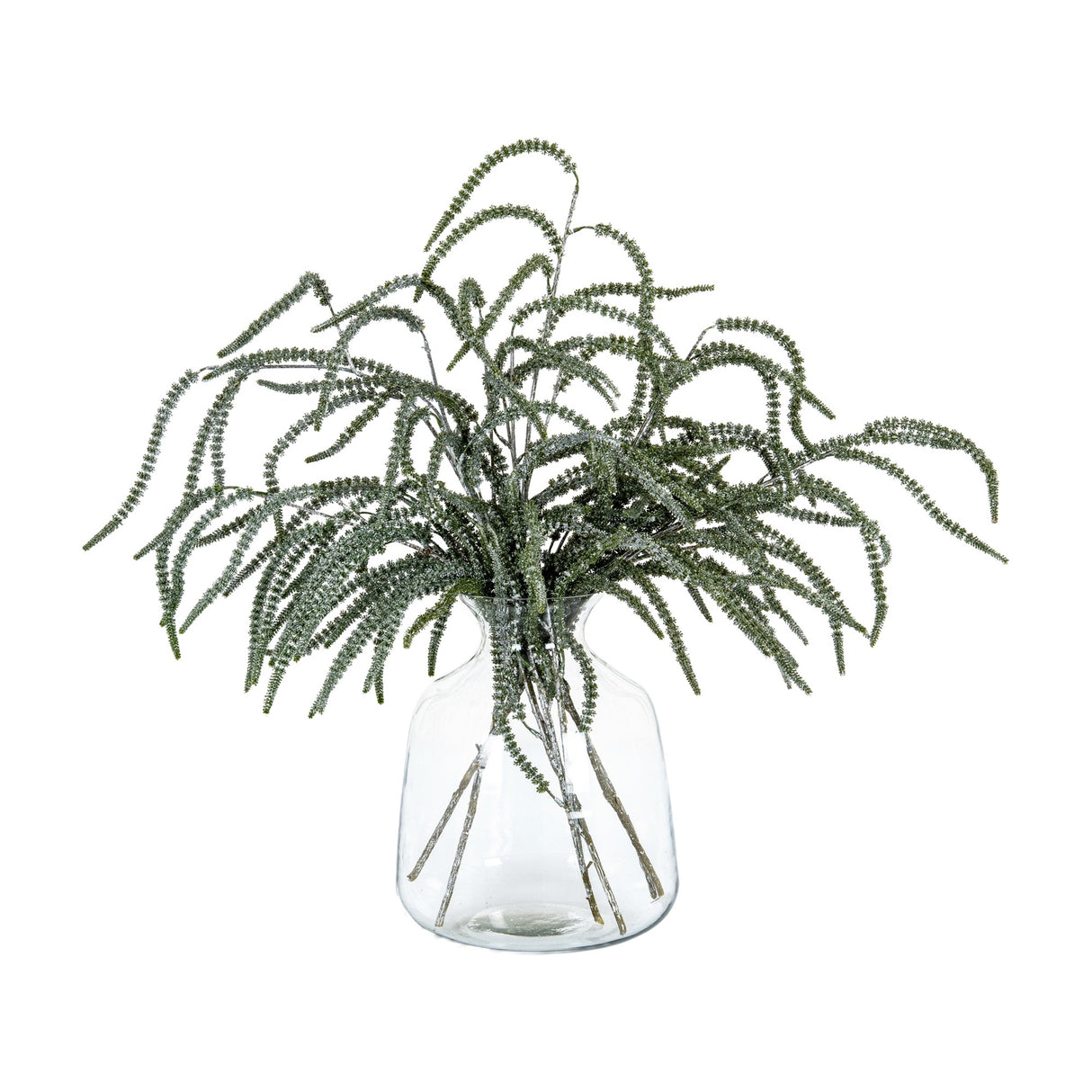 Hill Interiors Festive Amaranthus trailing stems with cascading green tassels, arranged in a clear glass vase on a plain white background.