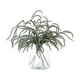 Hill Interiors Festive Amaranthus trailing stems with cascading green tassels, arranged in a clear glass vase on a plain white background.