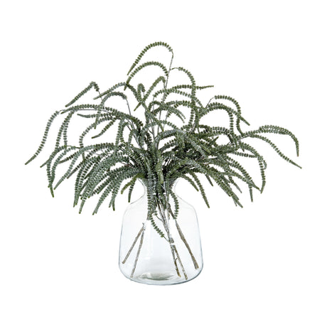 Hill Interiors Festive Amaranthus trailing stems with cascading green tassels, arranged in a clear glass vase on a plain white background.