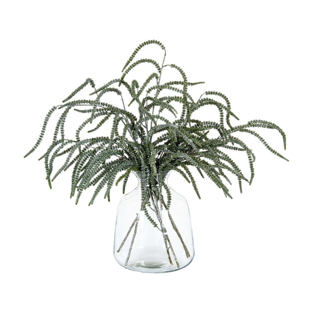 Hill Interiors Festive Amaranthus trailing stems with cascading green tassels, arranged in a clear glass vase on a plain white background.