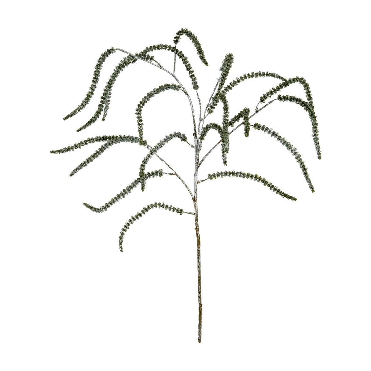 Hill Interiors Festive Amaranthus Trailing Stem with cascading frosted green tassels on a slender branching stem, shown against a plain white background.