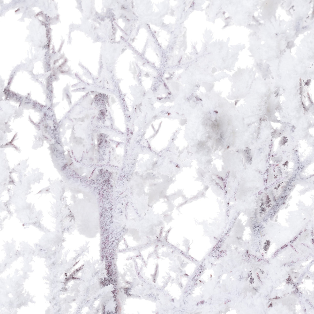 Close-up of the Hill Interiors Snowy Faux Branch 110cm showing slender twigs coated in a fine white frosted finish.