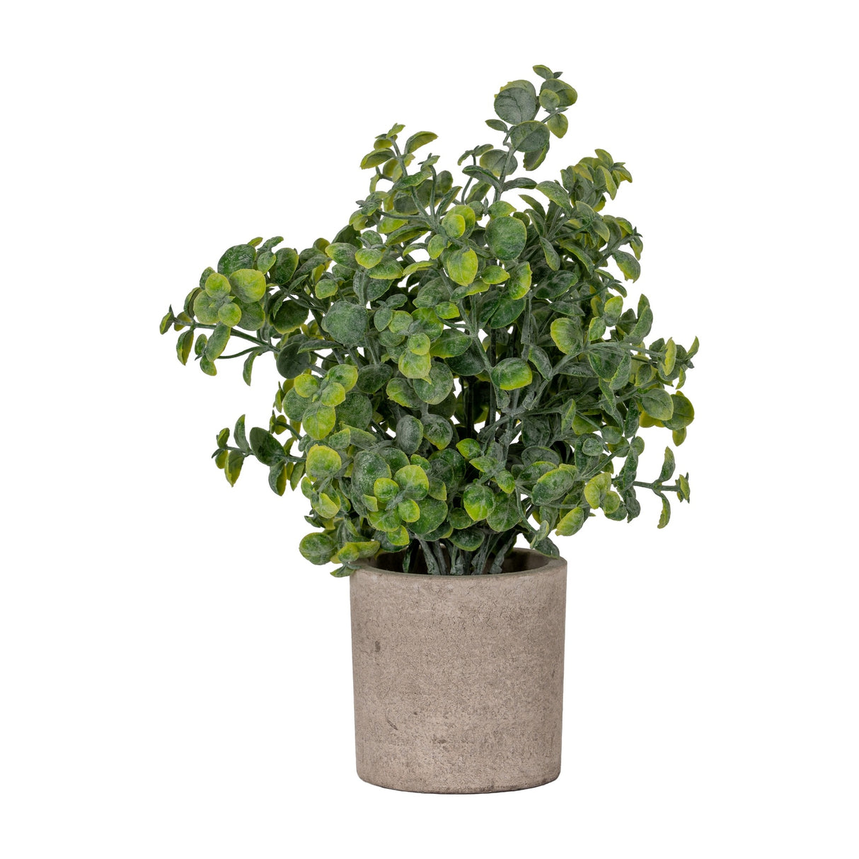Faux Eucalyptus Plant in Stone Effect Pot – Green