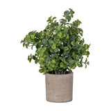 Faux Eucalyptus Plant in Stone Effect Pot – Green