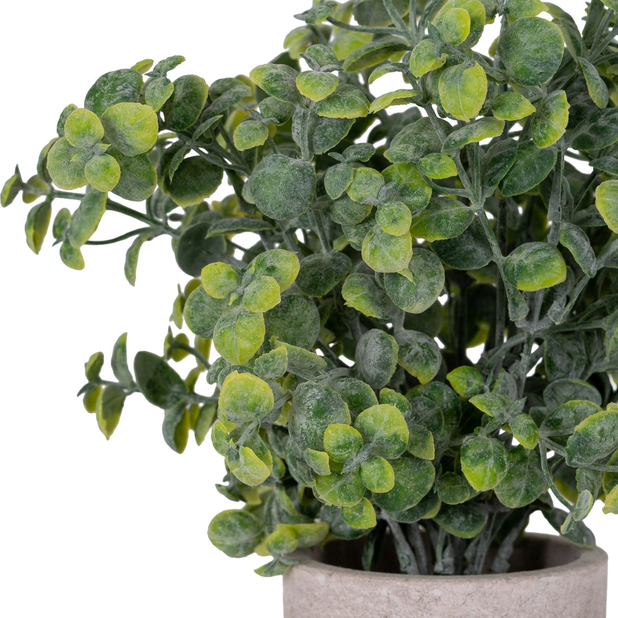 Faux Eucalyptus Plant in Stone Effect Pot – Green