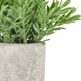 Faux Buxus Plant in Stone Effect Pot – Green
