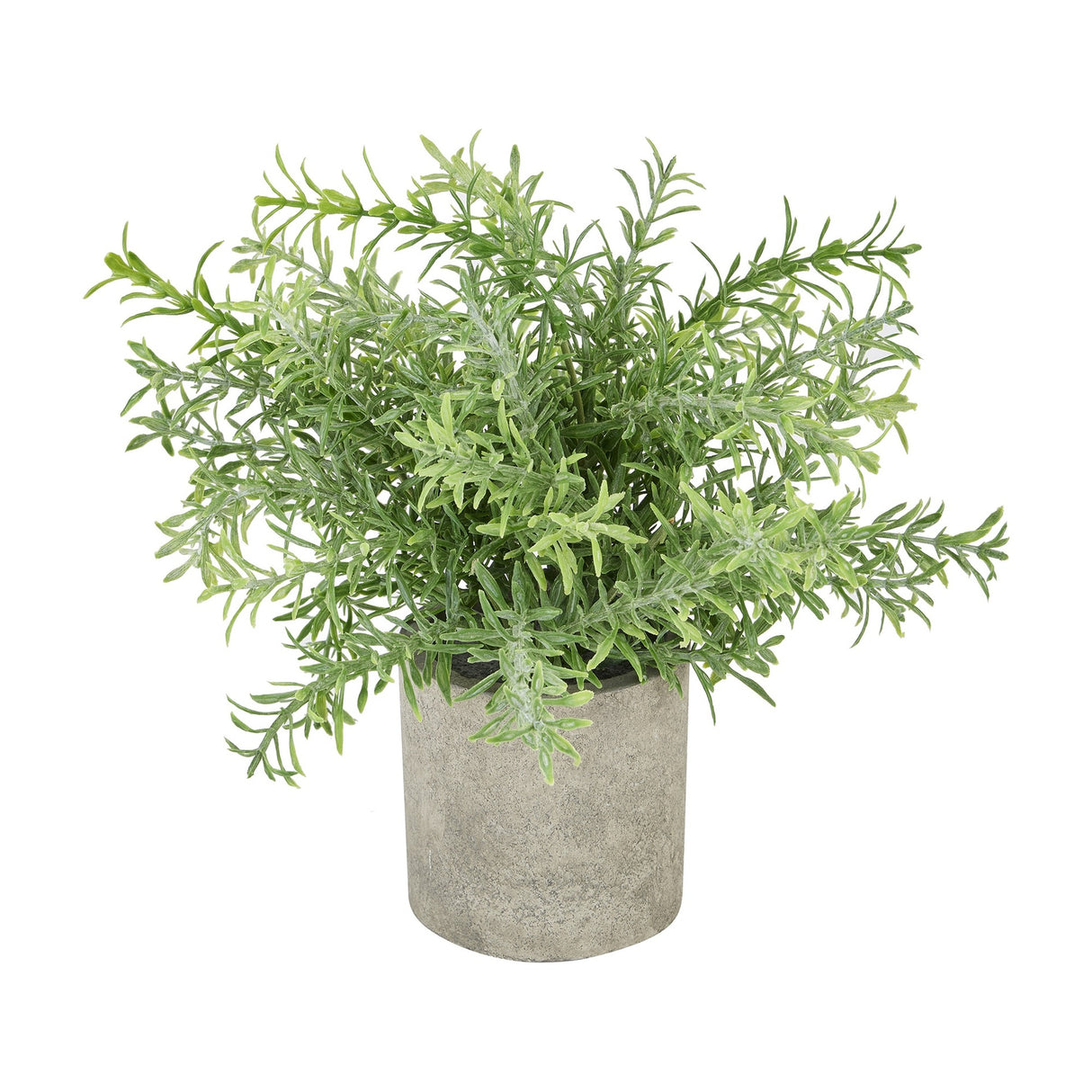 Faux Rosemary Plant in Stone Effect Pot – Green