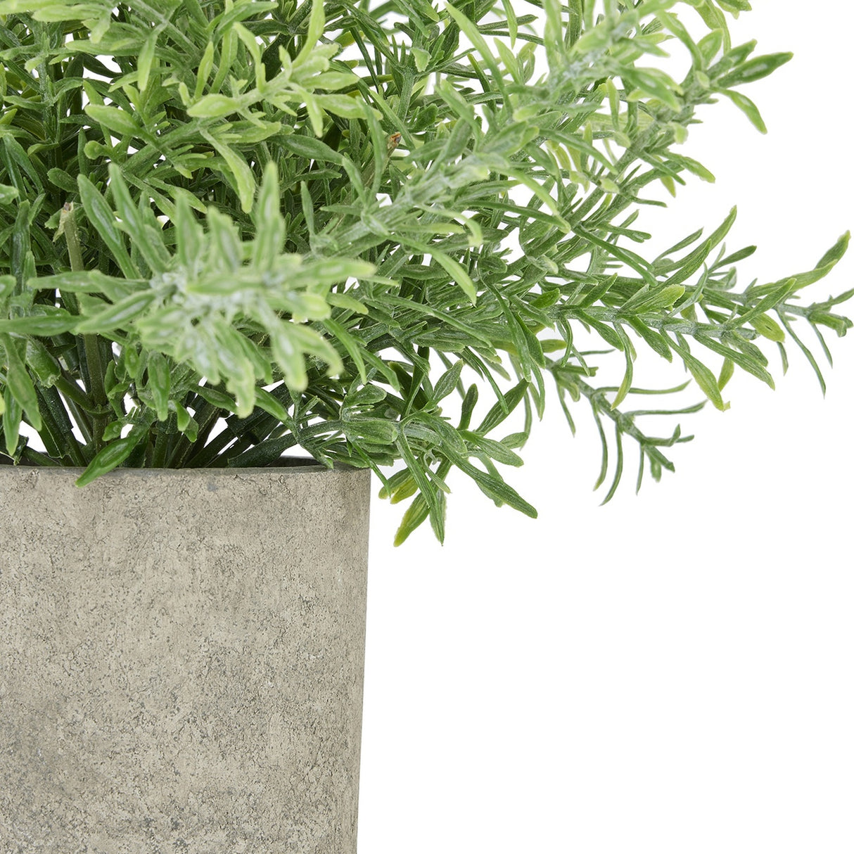 Faux Rosemary Plant in Stone Effect Pot – Green