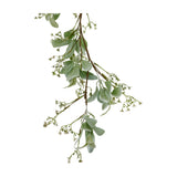 Hill Interiors Winter Garland with trailing lamb's ear leaves and delicate white wax flower sprays in soft green on a plain white background.