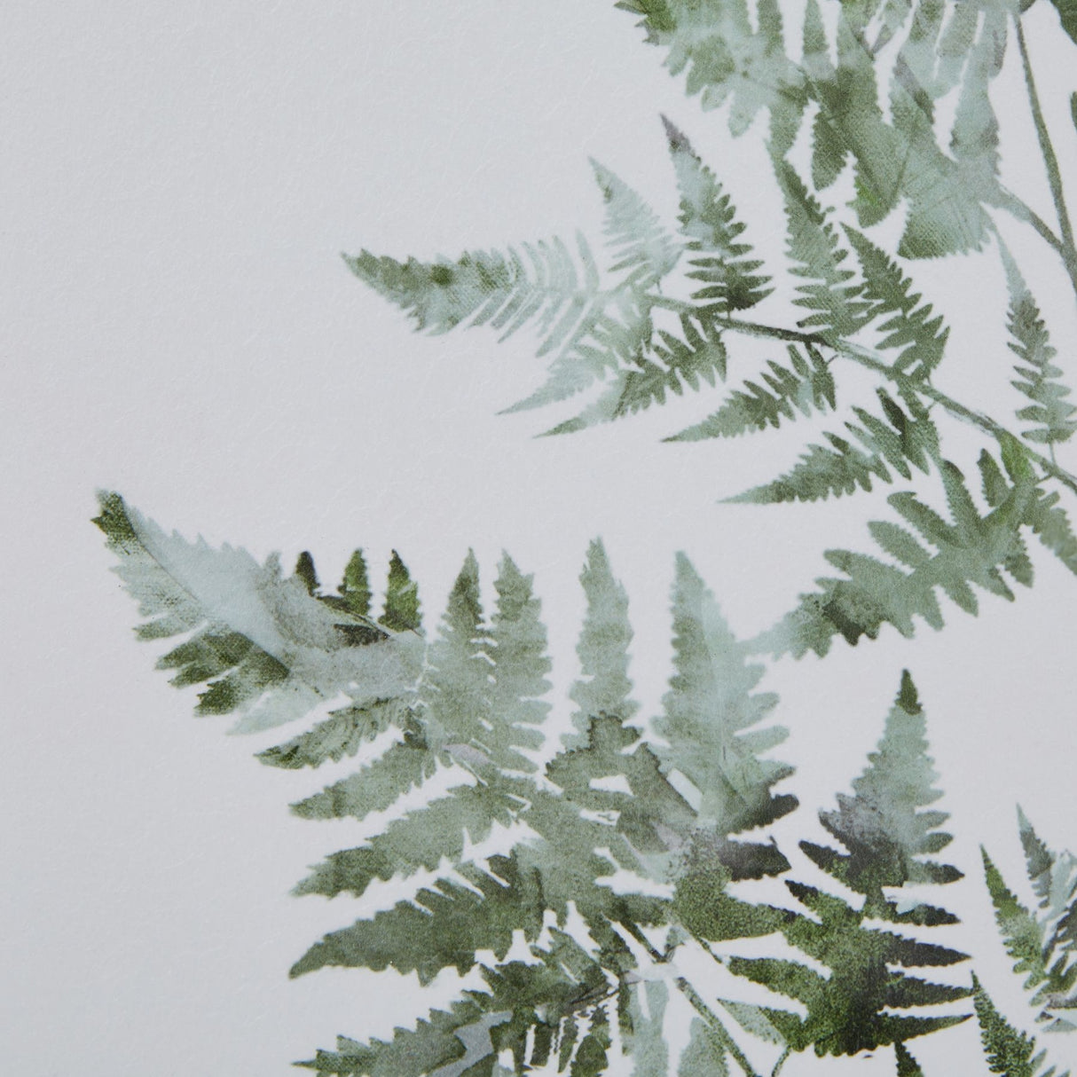 Close-up of Hill Interiors Bracken Fern Print showing soft green painterly fronds against a pale textured background.