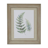 Hill Interiors Framed Fern Duo Print with two green botanical fronds on a light background, set within a washed brown wood frame and linen mount.