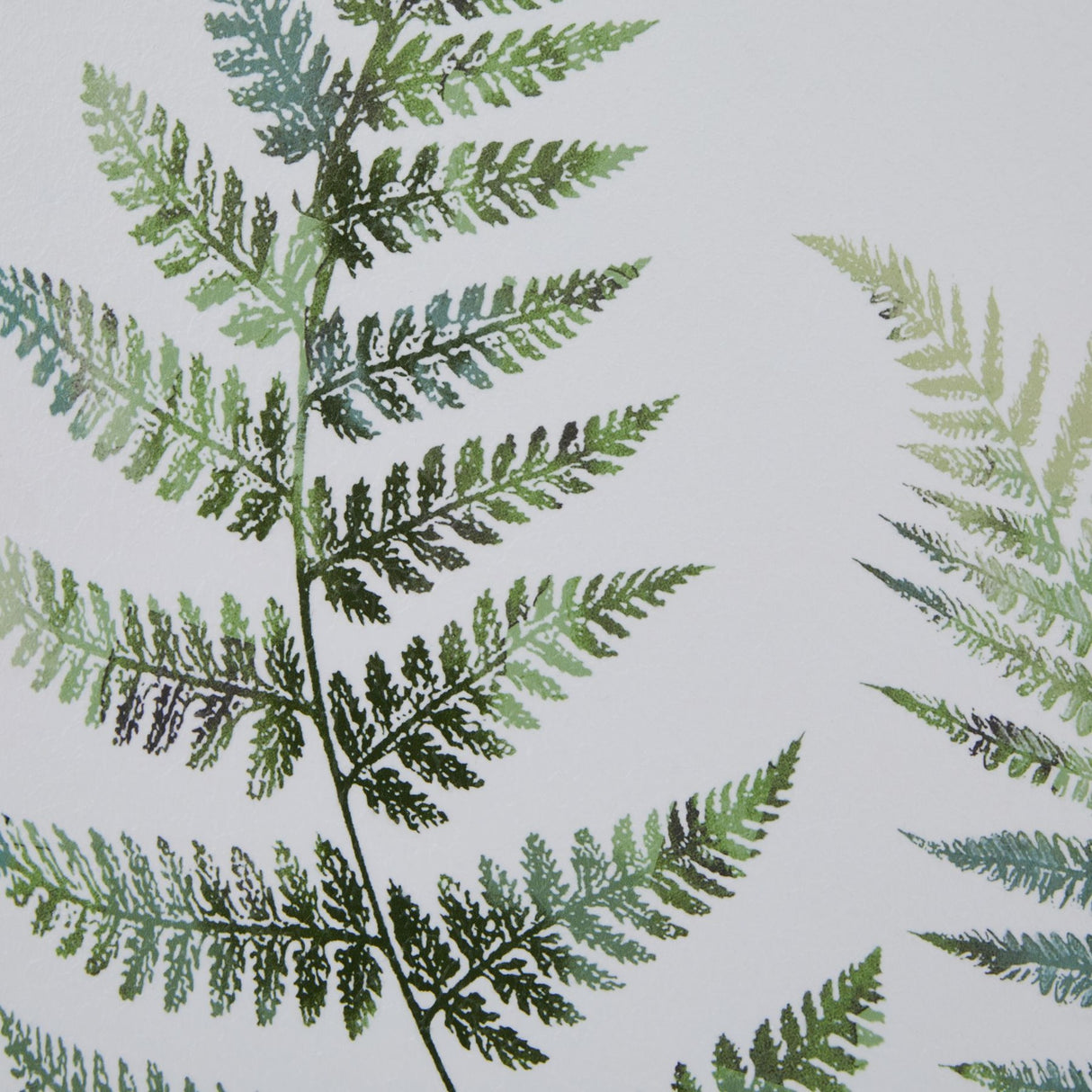 Close-up of Hill Interiors Framed Fern Duo Print showing layered green fern fronds painted in cool and soft tones against a pale textured background.