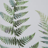 Close-up of Hill Interiors Framed Fern Duo Print showing layered green fern fronds painted in cool and soft tones against a pale textured background.