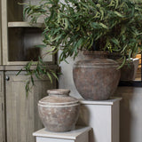 Hill Interiors Large Brown Water Pot ceramic planters in two sizes, styled on white plinths with trailing foliage beside a wooden cabinet.