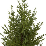 Close-up of the Hill Interiors Small Green Fir Tree, showing detailed green plastic foliage moulded to resemble layered conifer branches, on a white background.