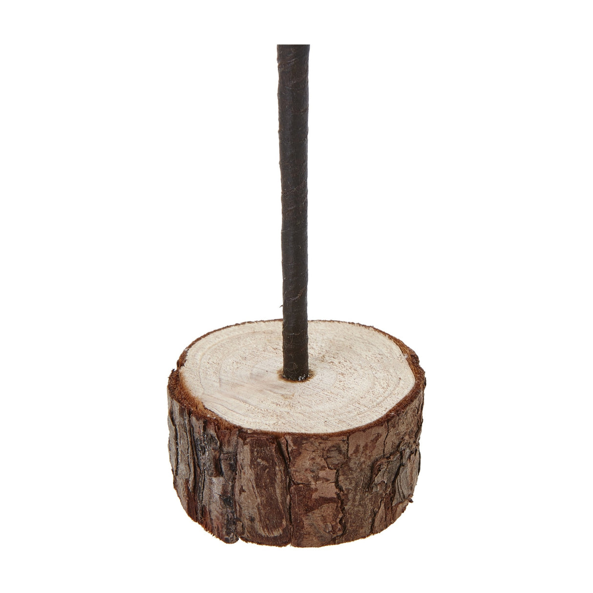 Hill Interiors Medium Snowy Spindle Tree base detail showing the slim brown trunk set into a natural bark-edged wood log, on a white background.