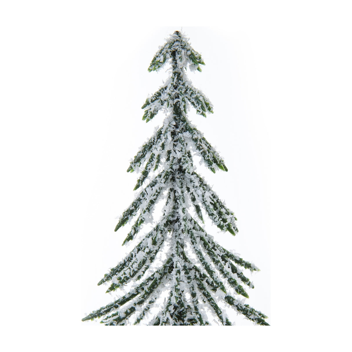 Close-up of Hill Interiors Medium Snowy Spindle Tree showing slim green branches with a light faux snow dusting against a white background.