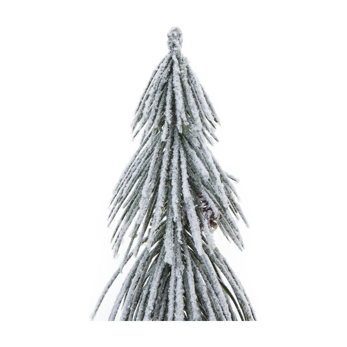 Hill Interiors Small Snowy Tree close-up showing frosted fir branches with a light snow dusting and small pine cone against a white background.