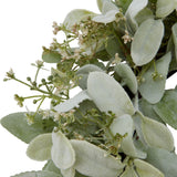 Close-up of Hill Interiors Winter Wreath with velvety silver-green lambs ear leaves and clusters of small white wax flowers on a plain white background.