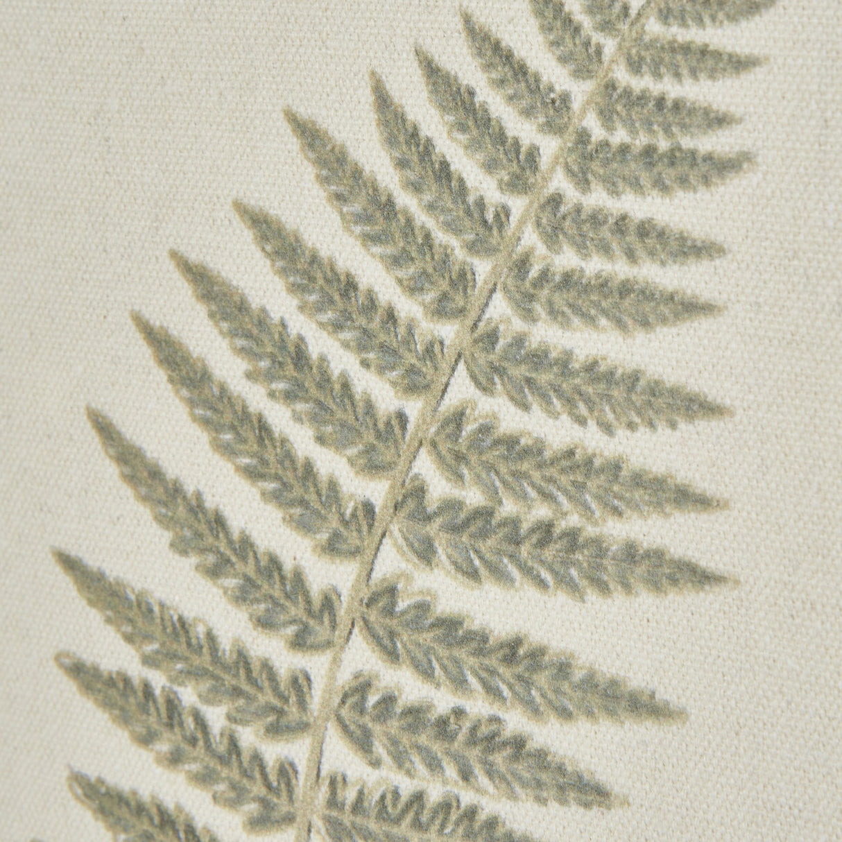 Fern Botanical Print on Texture-Torn Paper with Beaded Frame – White
